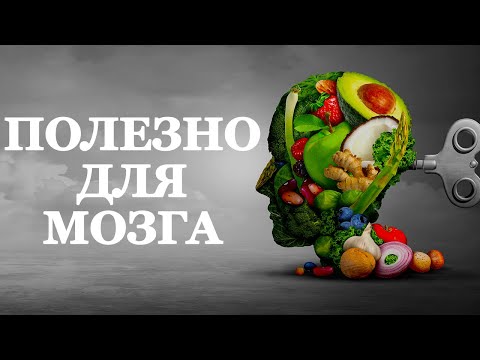 ТОП продуктов для мозга от Нейрософии. Полезная пища для эффективной работы вашего мозга