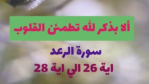 سورة الرعد اية 26 الي اية 28