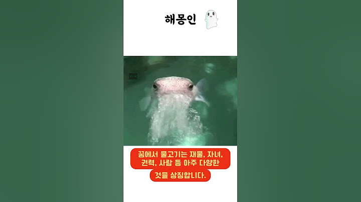 해몽인 : 큰 물고기를 잡는 꿈해몽 #꿈 #꿈해몽 #꿈해석 #해몽 #이슈 #지식 #웃긴짤 #웃긴영상 #물고기 #물고기꿈 #큰물고기