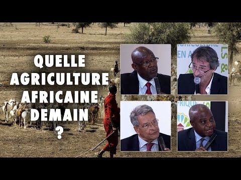 Vidéo: Quel est l'objet de la loi d'adaptation agricole?