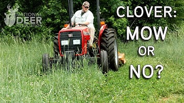 Will Mowing Perennial Food Plots Really Increase the Quality of Deer Forage?