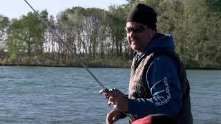 ZAFS 2019 Show #3 GREG HACKNEY INTERNET PROMO