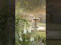 Garden #shorts #fypviral