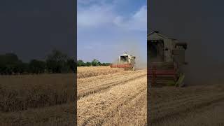 CLAAS DOMINATOR 260