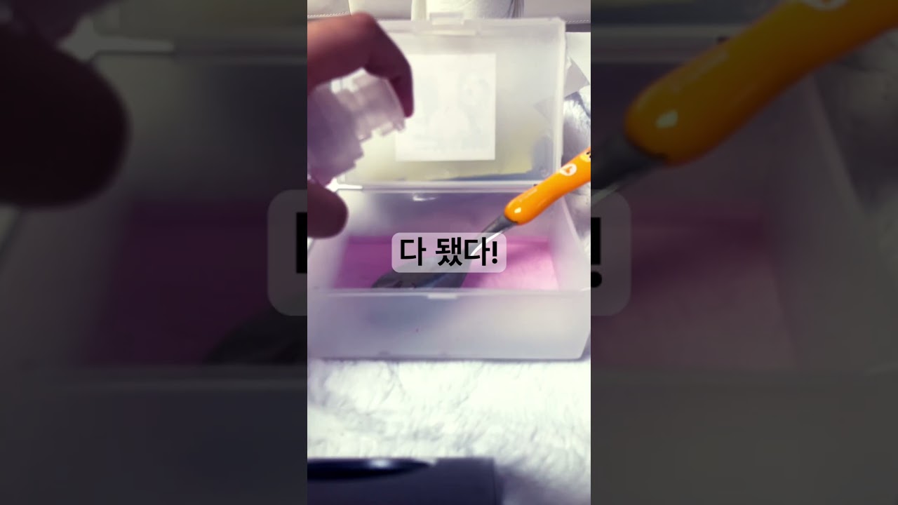 뽀슬이가 아파요🤧 