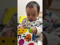 本を読む時に真剣顔するベビーえーえー#カラフル絵本　#絵本　#babyshachi