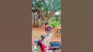 🌱 Làng Ghé Dưc Cơ Gia Lai Xe Siruis #fypシ