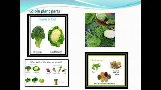 Class 6 science module3