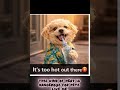 Keep your pets safe in this heat#storytime #storytime #love #anasstories