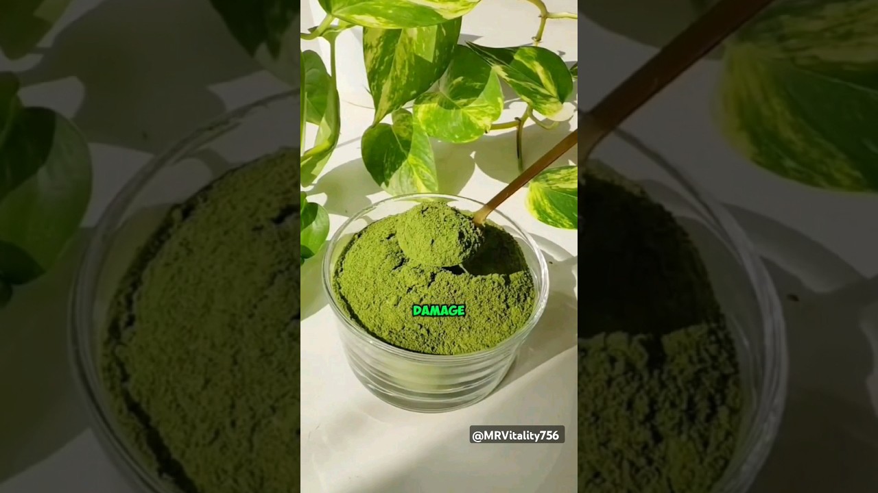 Moringa magic herb#healthy #healthyfood #fitness #food #shortsviral #shorts