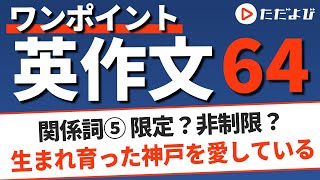 ワンポイント英作文L64 関係詞⑤ 限定？非制限？*