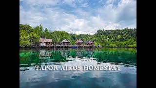 Tapor Aikos Homestay by cetric26 128 views 2 months ago 3 minutes, 44 seconds