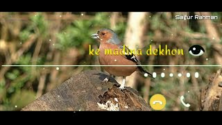 Naat WhatsApp Status | 2021 Naat Ringtone Download | Mobile Phone Ringtone Mp3 screenshot 4