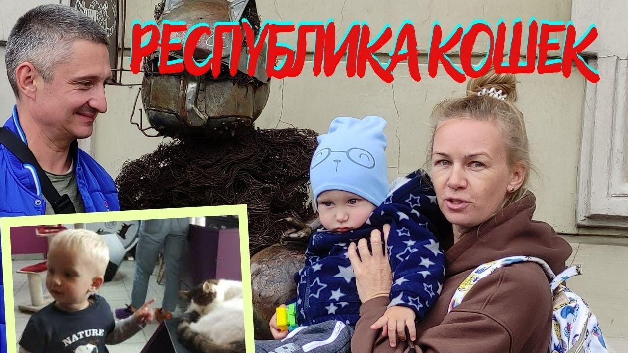 Как выглядит котокафе Республика кошек.