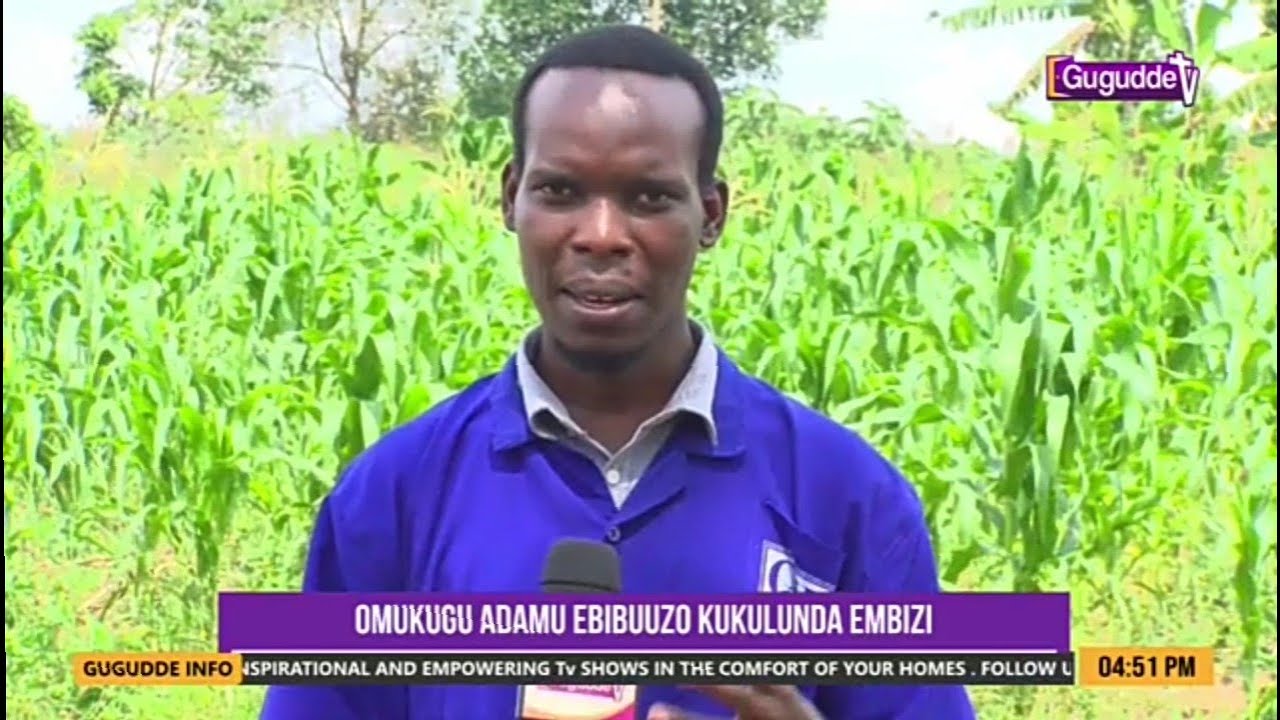 Byolina okumanya nga olunda embizzi