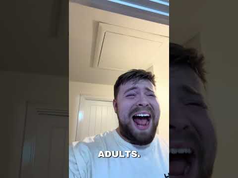 Adults Shouldn't Buy LEGO!
