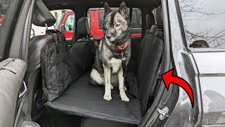 Give Your Dog More Stability In the Back Seat!