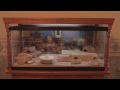 40 Gallon Leopard Gecko tank and custom built stand 40 Gallon Leopard Gecko tank and custom built stand