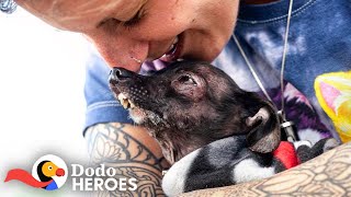 Woman Keeps Rescuing All The Dogs No One Else Wants | The Dodo Heroes