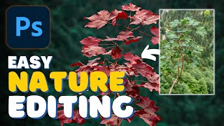 Photoshop Nature Editing That Makes Your Photos Stand Out! screenshot 5