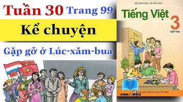 Tiếng Việt Lớp 3 | Tuần 30 | KỂ CHUYỆN | Gặp gỡ ở Lúc-xăm-bua | Trang 99