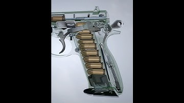 If you are a CZ75 owner, you should watch this video. #Pistol #CZ