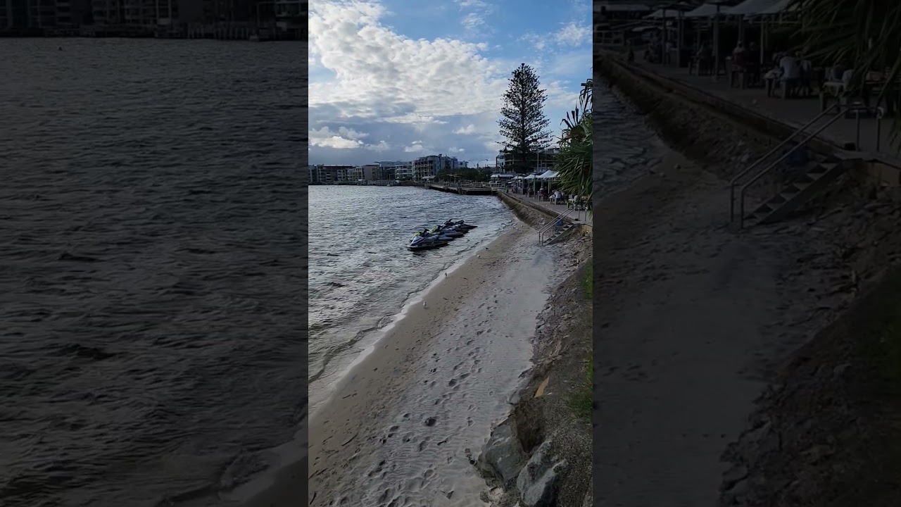 Bull shark Beach, Caloundra 
