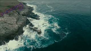 cheb khaled top instrument 🎵 من روائع الشاب خالد (موسيقى صامتة ) screenshot 3