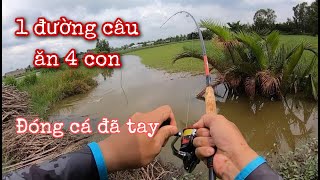 1 đường câu lên 4 con cá, đóng cá sướng cả tay