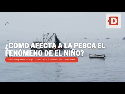 ¿Cómo afecta a la pesca el fenómeno de El Niño?