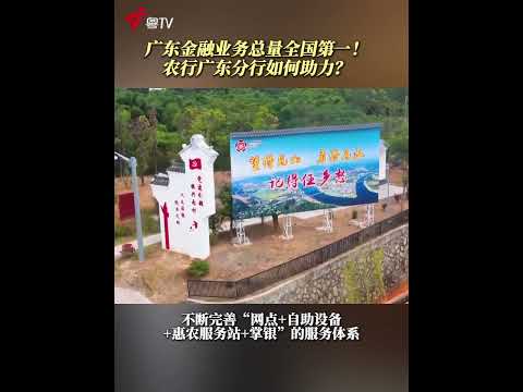 广东金融业务总量全国第一！农行广东分行如何助力？（记者-李新-摄像-黎英杰-编辑-利瑞蓉) #news #shorts