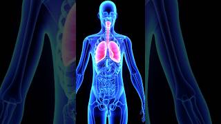 ফসফস ইনফকশন হল করণয ফসফসর সমসয