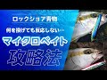 【ロックショア×小型青物プラグ】~マイクロベイト攻略~