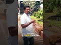 Landscaping &amp; Sprinkler Installation Project | RK Exports, Karur | iCrop Agriculture