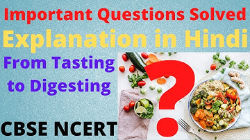 Question Answers Chapter 3 From Tasting to Digesting Class 5 EVS Test Preparation