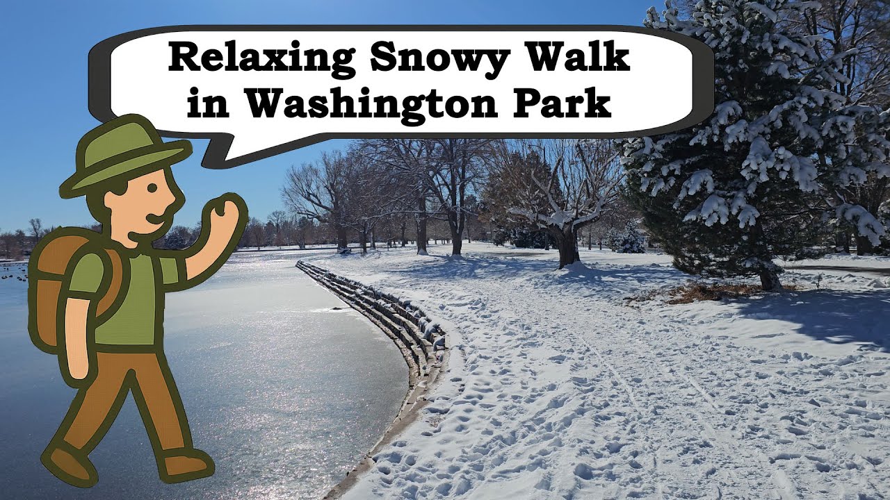 Relaxing Snowy Walk in Washington Park | 4K Grasmere Lake Loop with Calming Music