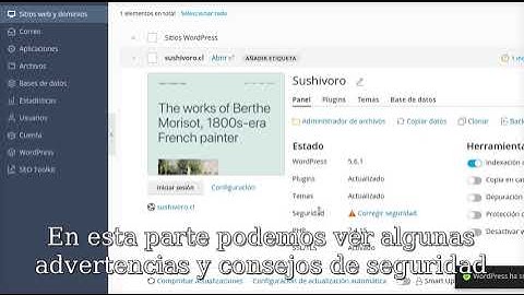 Como instalar Wordpress en el panel Plesk