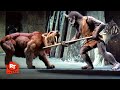 Sinbad And The Eye Of The Tiger 1977 Troglodyte Vs Smilodon Movieclips 