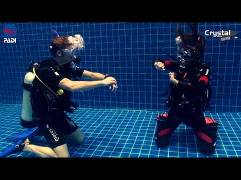How to do the Five Point Ascent PADI IDC Skills Dive Instructor Koh Tao