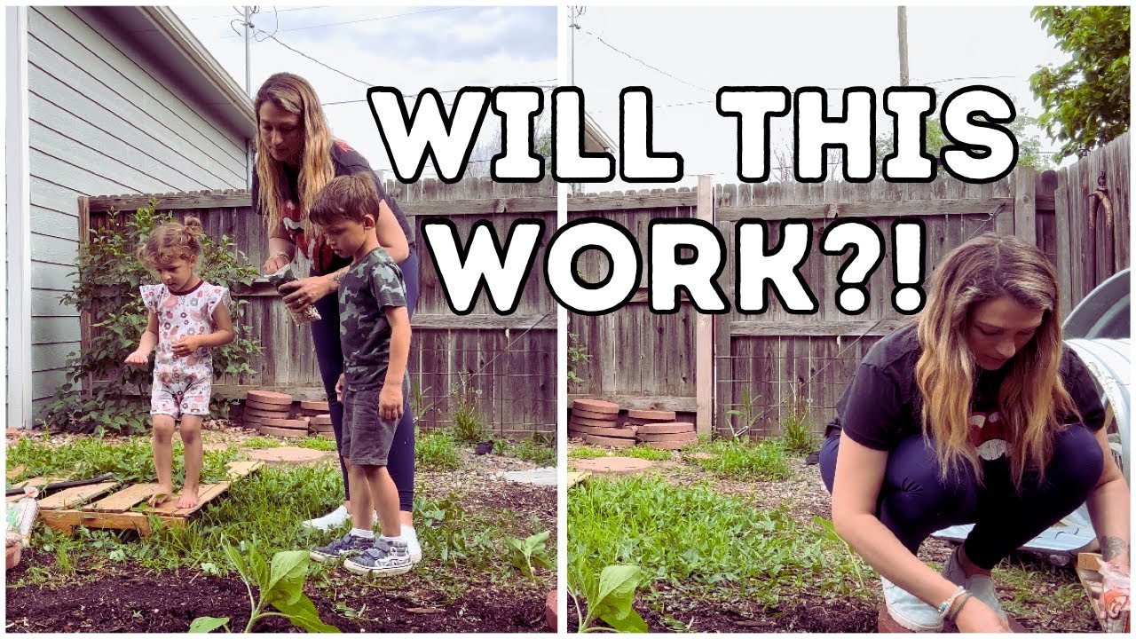 Prepping for Pennies | Is This A Solution to Inflation and Food Shortage Worries?