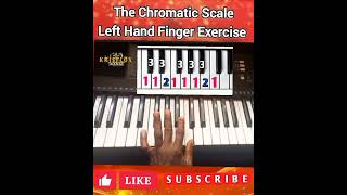 The Chromatic Scale Left Hand Finger Exercise for the piano  #fingerexercises #pianotutorial #piano