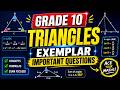 🔥 Grade 10 Triangles Exemplar | Most Important Questions for Boards 2026–27 📐