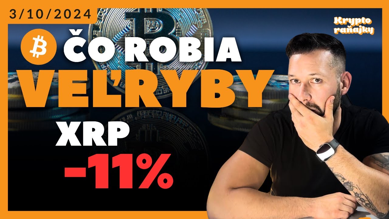 d-bitcoin-100-000-xrp-padlo-o-11-percent-btc-kryptora-ajky-youtube