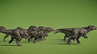 Crocodile Green Screen VFX || Angry Crocodile Overlay 4K