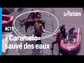 « Caramelo», le cheval bloqué sur un toit au Brésil à cause des inondations a été sauvé