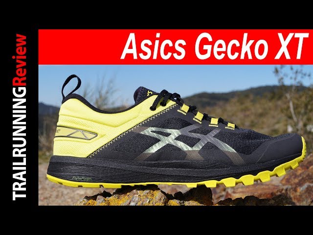 asics gecko