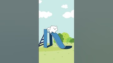 Cat Slide  #bongocat