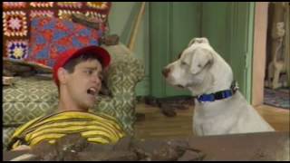 In Living Color s03e25