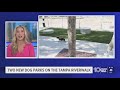 Two new dog parks open on the Tampa Riverwalk