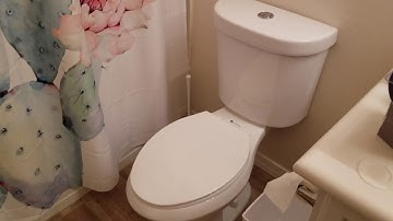 Glacier Bay Dual-Flush Toilet Slow Internal Leak and EASY $3 No-Tool Repair